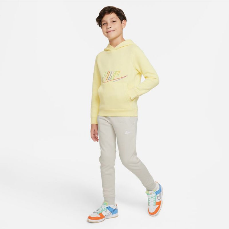 Nike Sportswear Jr DX5087-706 sweatshirt