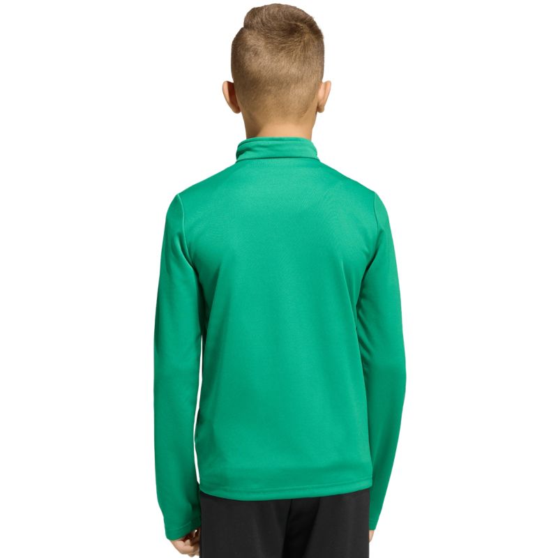 adidas Entrada 26 Training Top green JZ6632 kids' sweatshirt