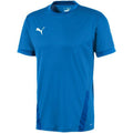 Puma teamGOAL 23 Maglia M 704171 02