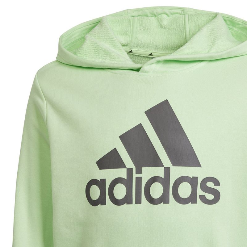 Adidas Big Logo Hoodie Jr IS2591 sweatshirt