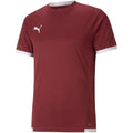 Puma teamLIGA Maglia M 704917 09