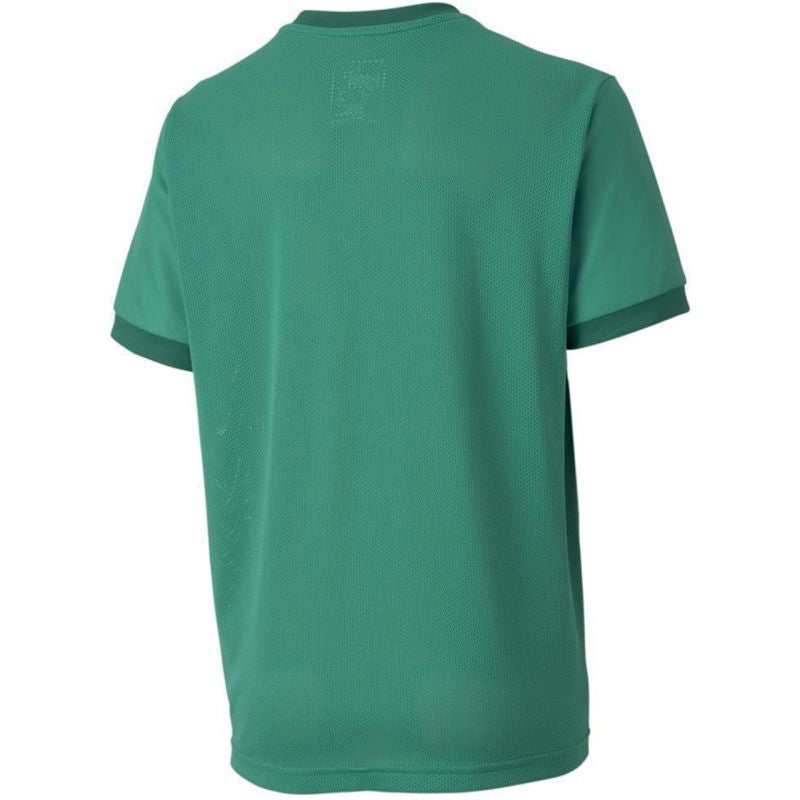 Puma teamGOAL 23 Maglia Jr 704160 05